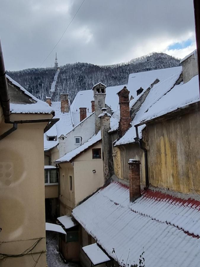 Codicei Studio Braszów Zewnętrze zdjęcie
